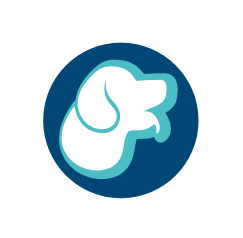West Sussex, East Preston dog grooming courses